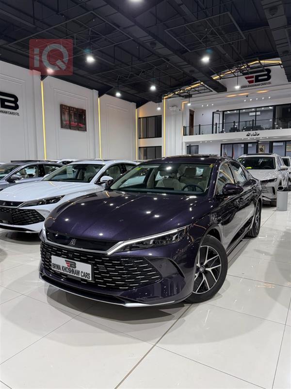 بی وای دی کوێن L DM-i 2025  بۆ فرۆشتن لە عێراق - هەولێر